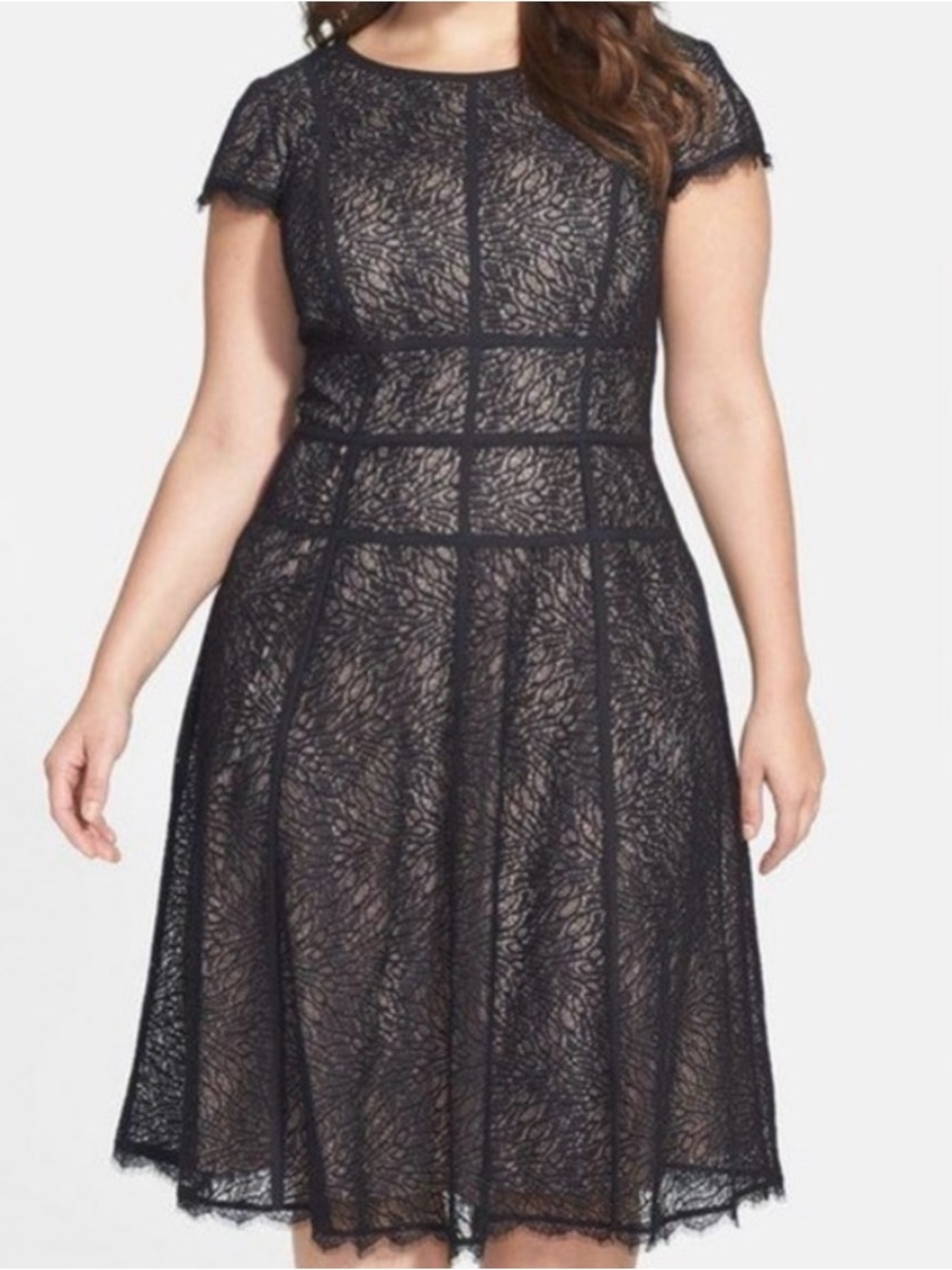 Adrianna Papell Lace Fit Flare Dress UK22W US18 Black Nude Midi